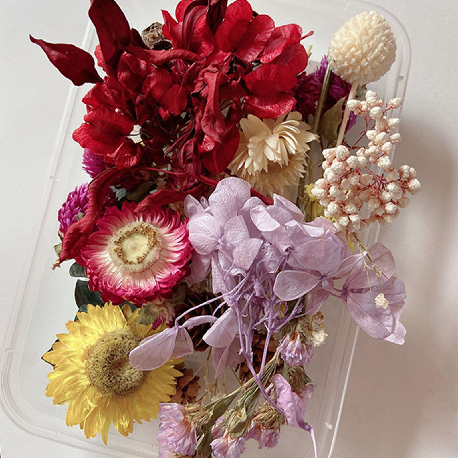 Natural Dried Flower Kit Press - Home Fragrance Gift Set のレビューと価格