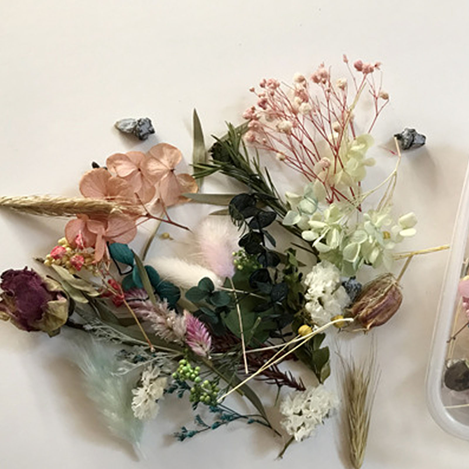Natural Dried Flower Kit Press - Home Fragrance Gift Set のレビューと価格