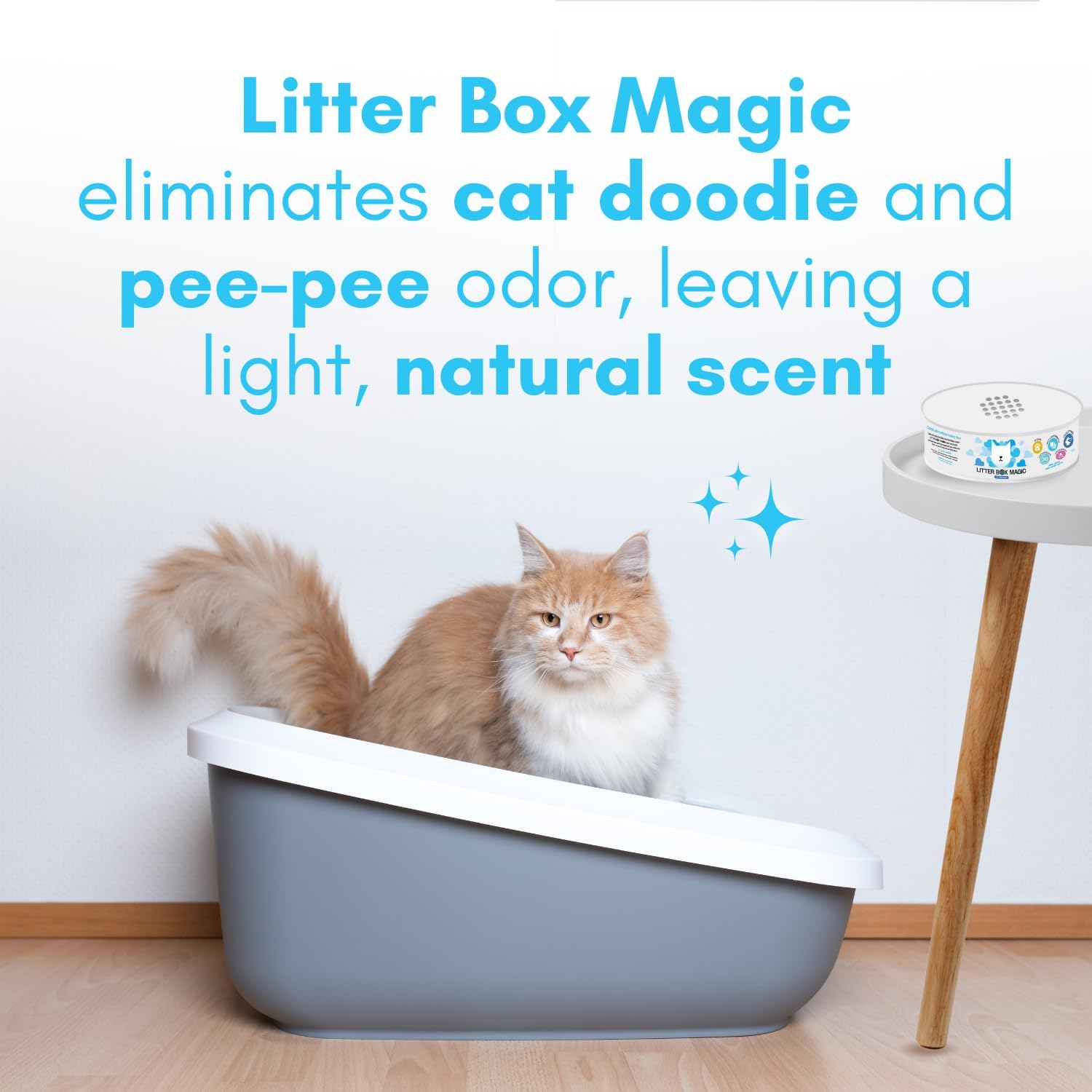 Cat Litter Deodorizer Jar - Fr - Gel Air Freshener のレビューと価格