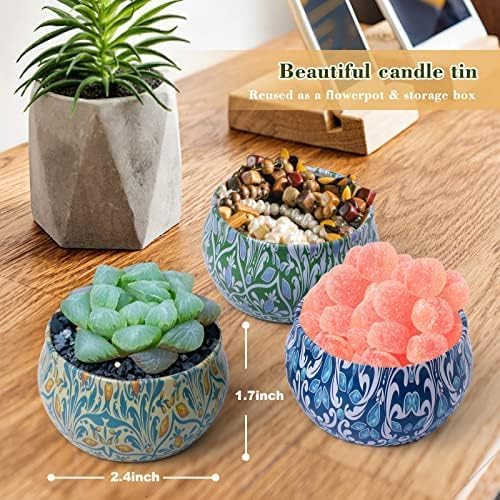 Scented Soy Wax Candles Set, 1 - Home Fragrance Set のレビューと価格