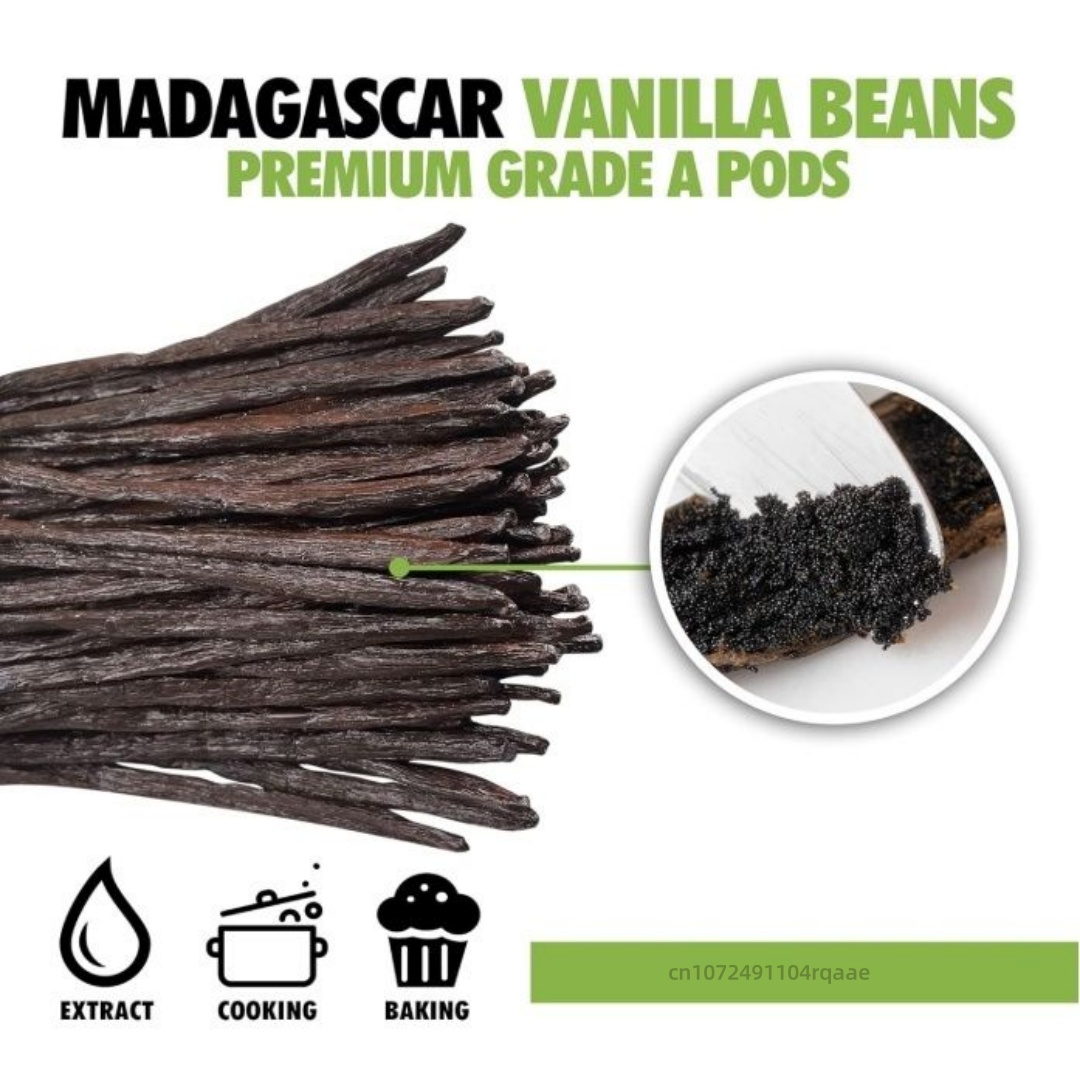 14-17cm Premium Madagascar Van - Home Fragrance Premium のレビューと価格