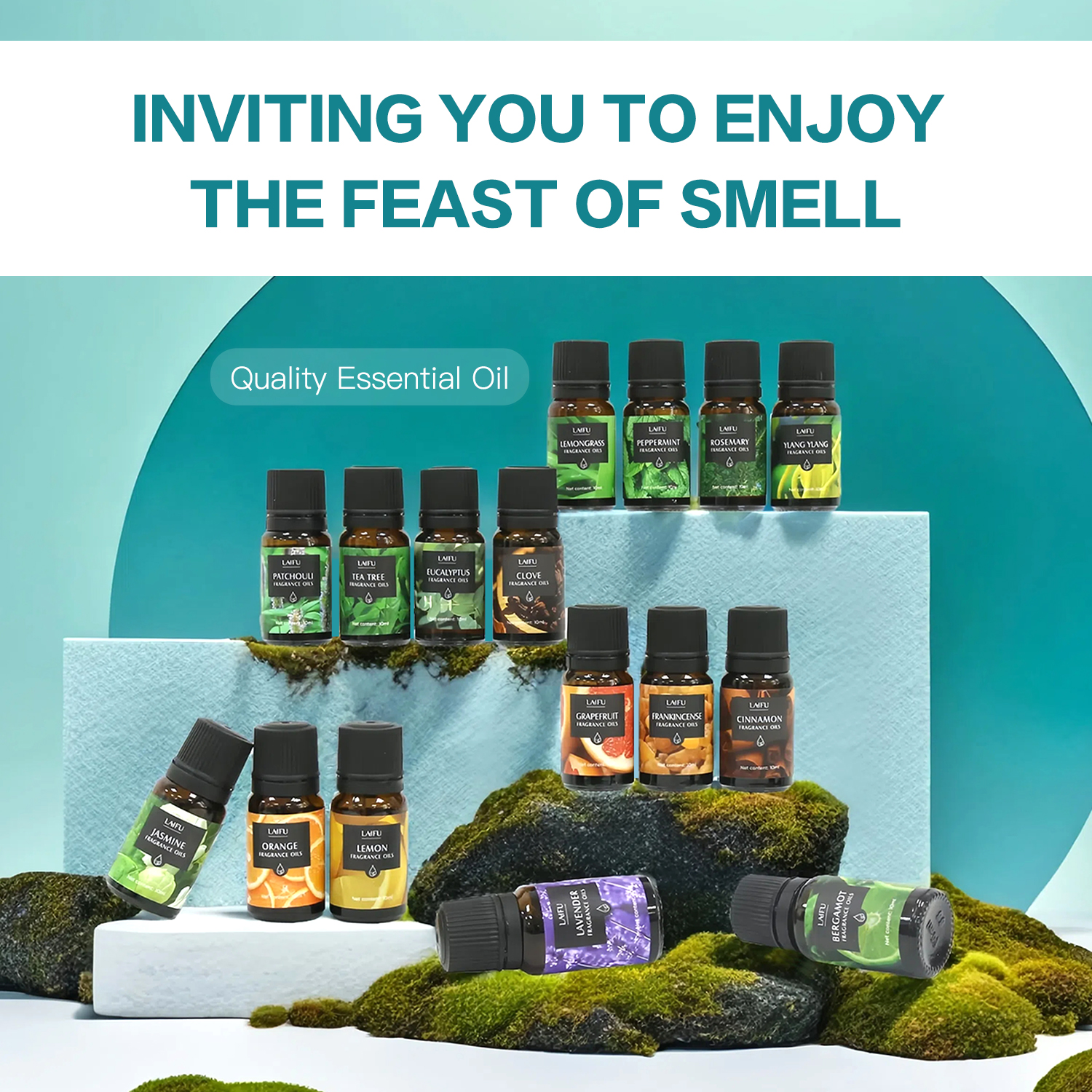16x10ml Essential Oils Set for - Home Fragrance Set のレビューと価格