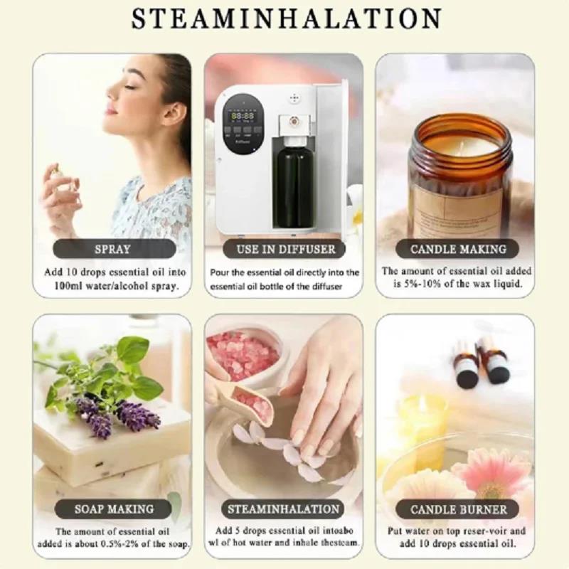 500ml Hotel Series Healton Sha - Home Fragrance Hotel Collection のレビューと価格